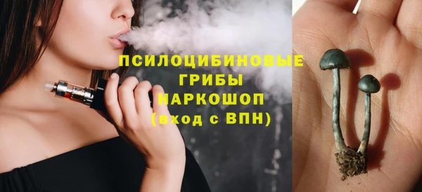 мескалин Надым