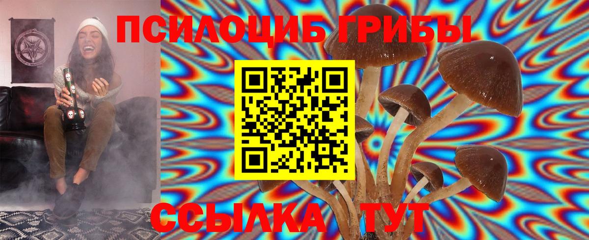 Нефтекамск  купить  сайты  Вход с VPN  Галлюциногенные грибы Psilocybe  Галлюциногенные грибы Psilocybine cubensis 