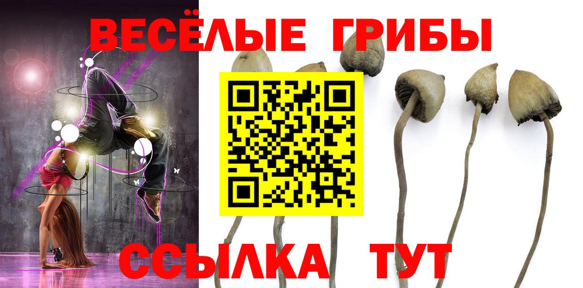 Псилоцибиновые грибы Cubensis Нефтекамск